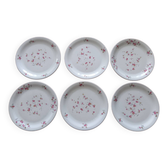 Set of 6 dessert plates