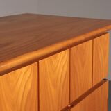 Iconic Italian design cabinet “Il Cerniera” by Silvana Arcelli Montanari for Tonelli (1970s)