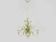 Masca vintage wheat stalk chandelier in off-white and pastel green metal.