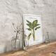 Botanical board Dieffenbachia
