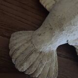 Old seagull to hang