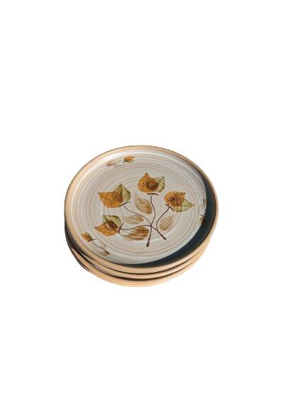 5 dinner plates and 5 small plates Niderviller model Doria