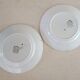 2 Saint Amand plates with castle decor