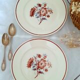 Assiettes à dessert