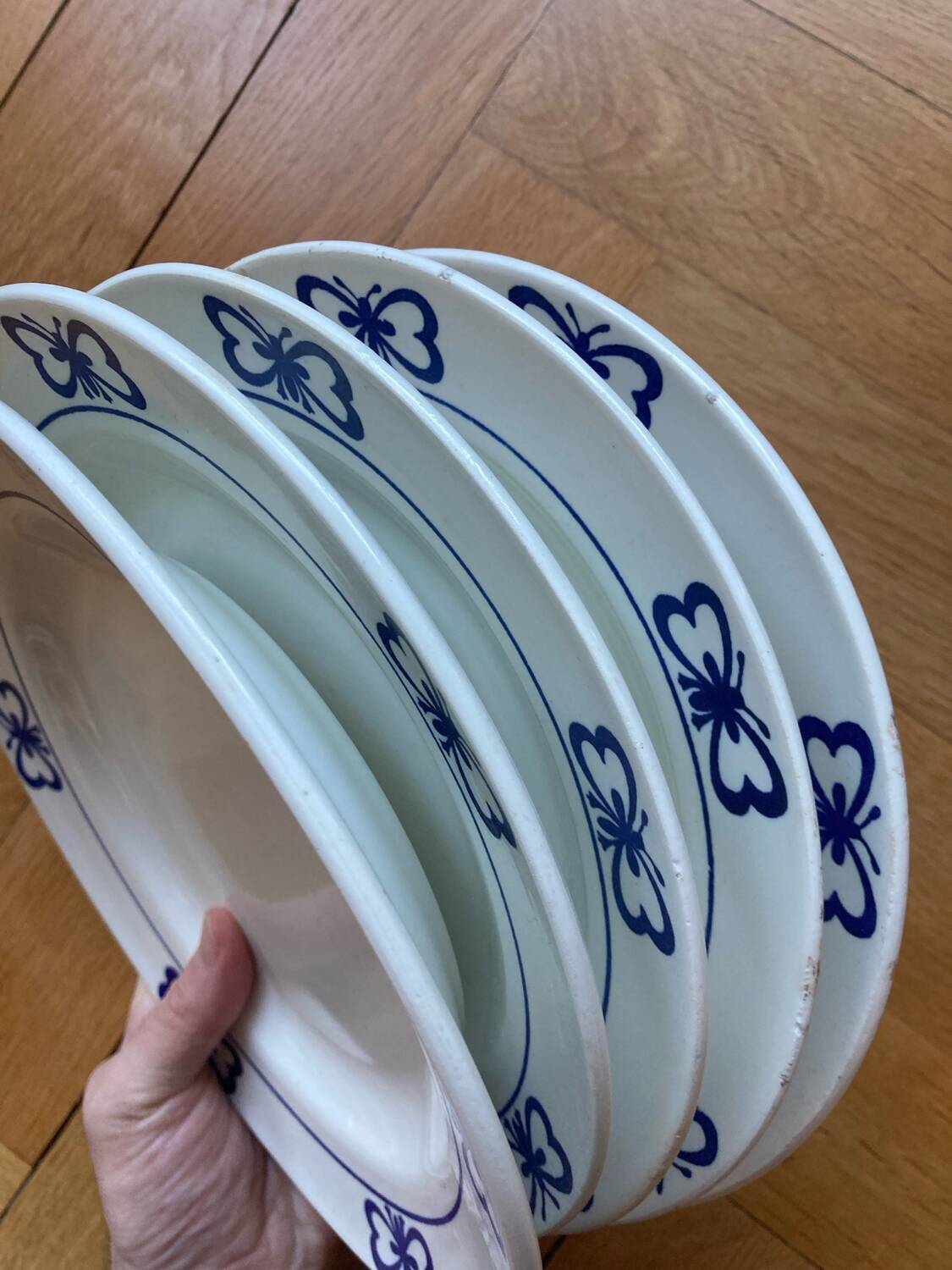 Blue butterfly patterned dinner plates