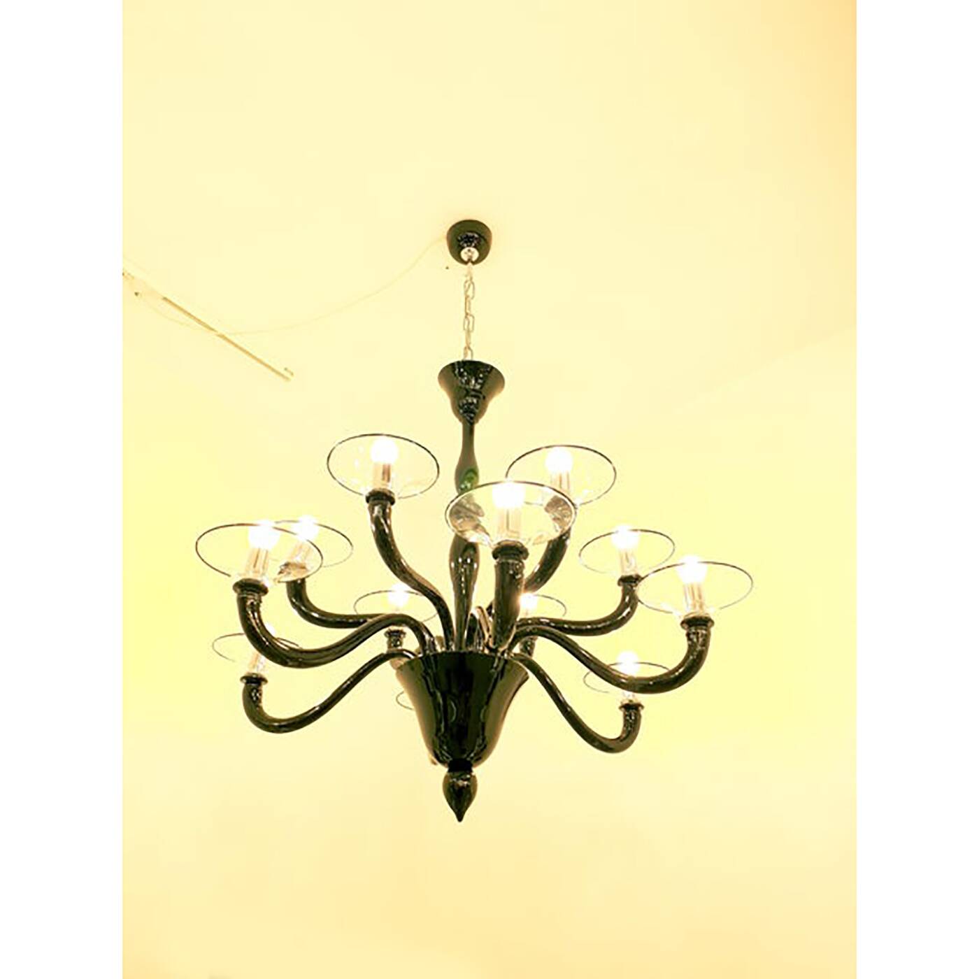 Italian Contemporary Black Glass Chandelier