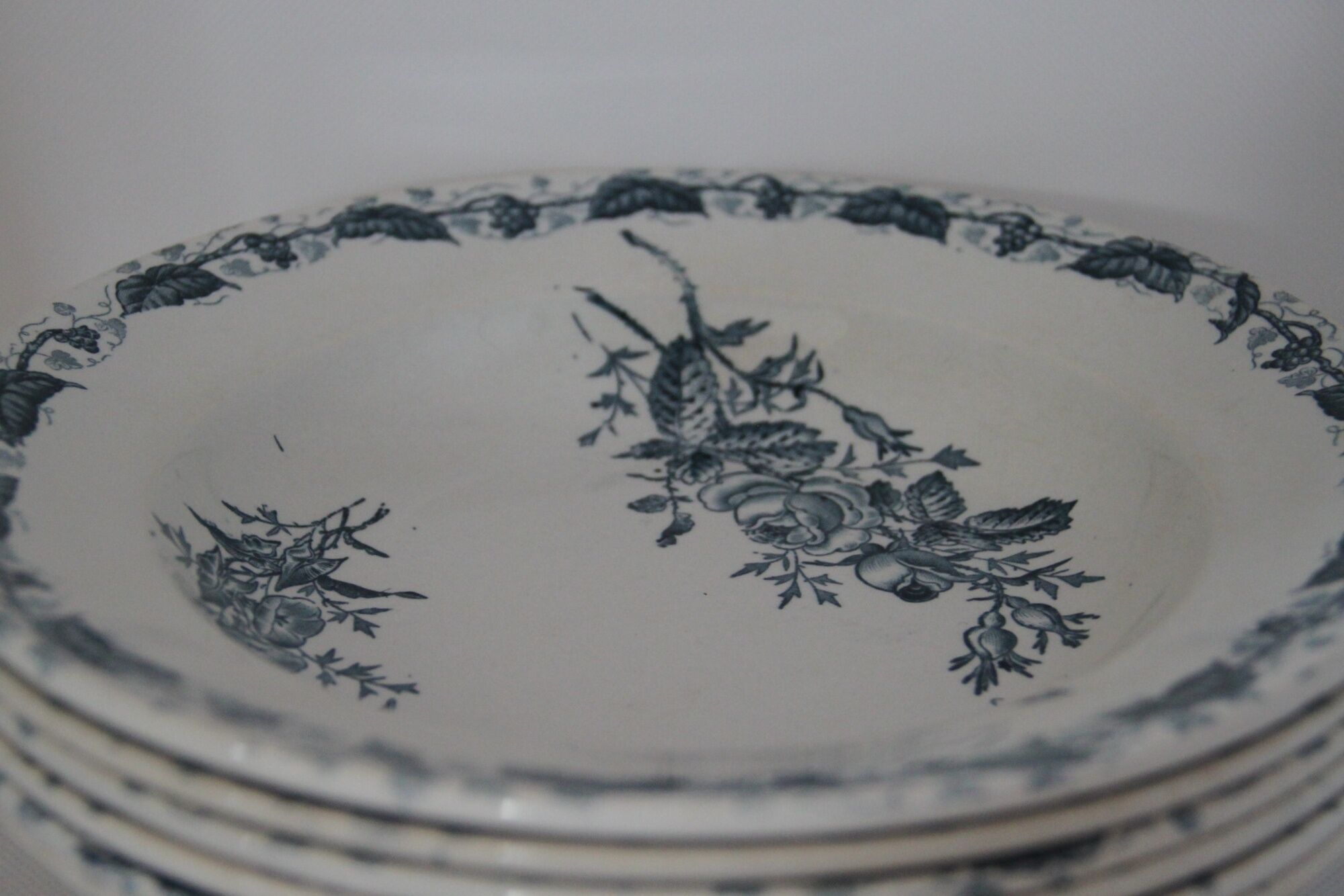 Lot of 6 hollow plates Butterfly - Pexonne Faïenceries