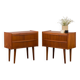 Pair of Danish vintage teak nightstands with 2 drawers, 1960s