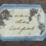 Paintings "roses of the alps" by Astrid Walford (1907-1984)