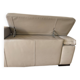 Roche-bobois sofa