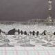 Crystal glass service Saint Louis Model MASSENET 54 pieces