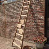 Ladder