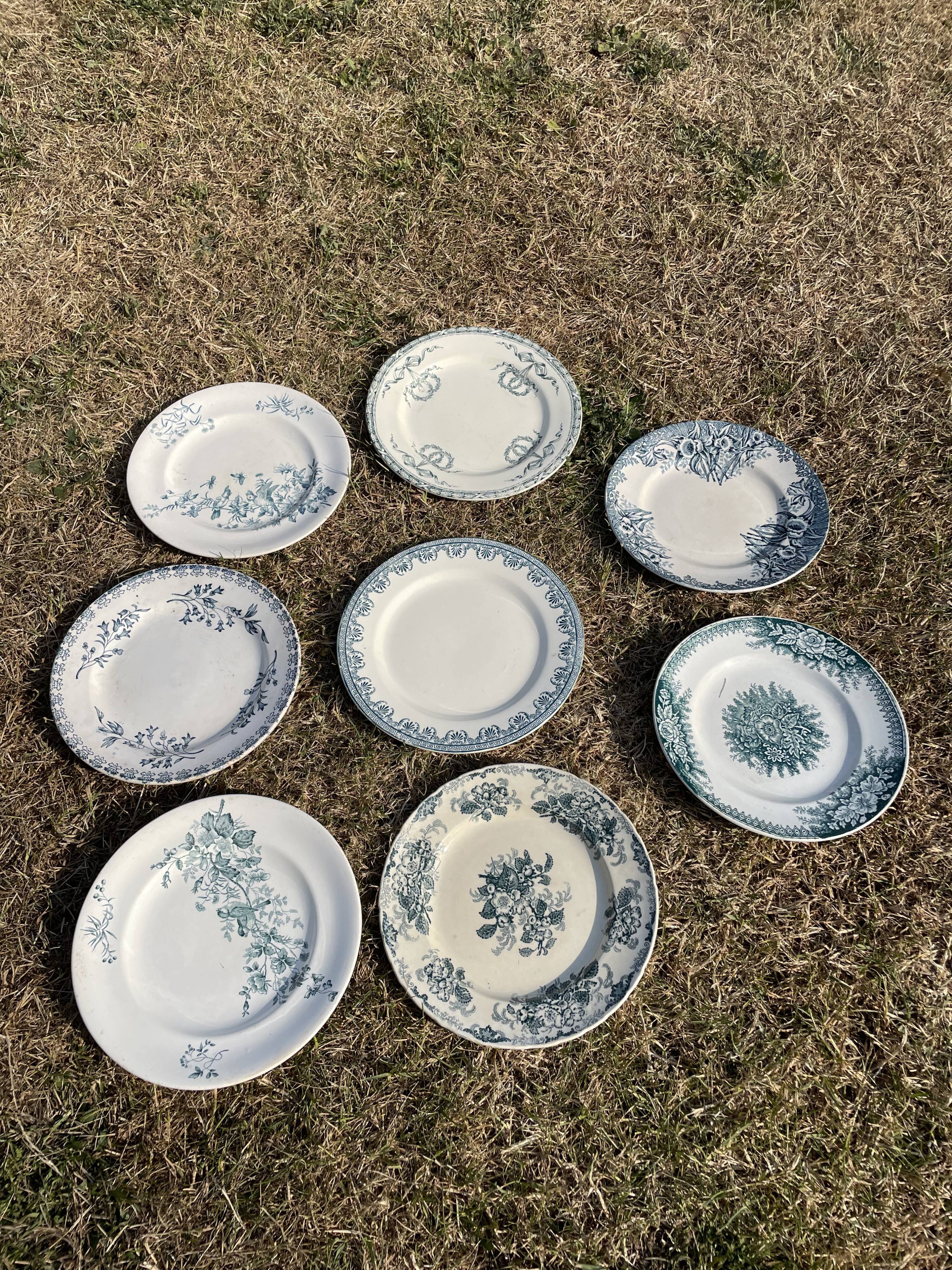 Set of 8 mismatched iron earth flat plates