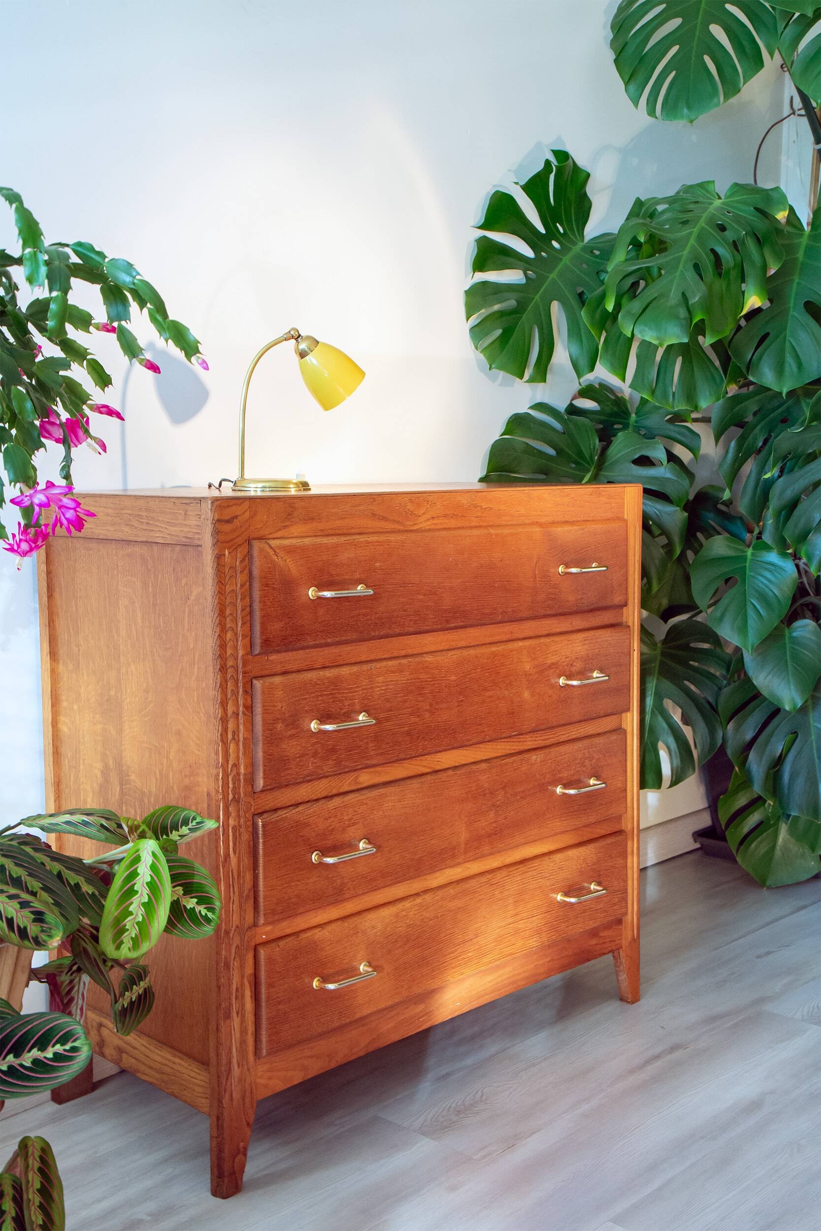 Golden oak chest of drawers, 1960s