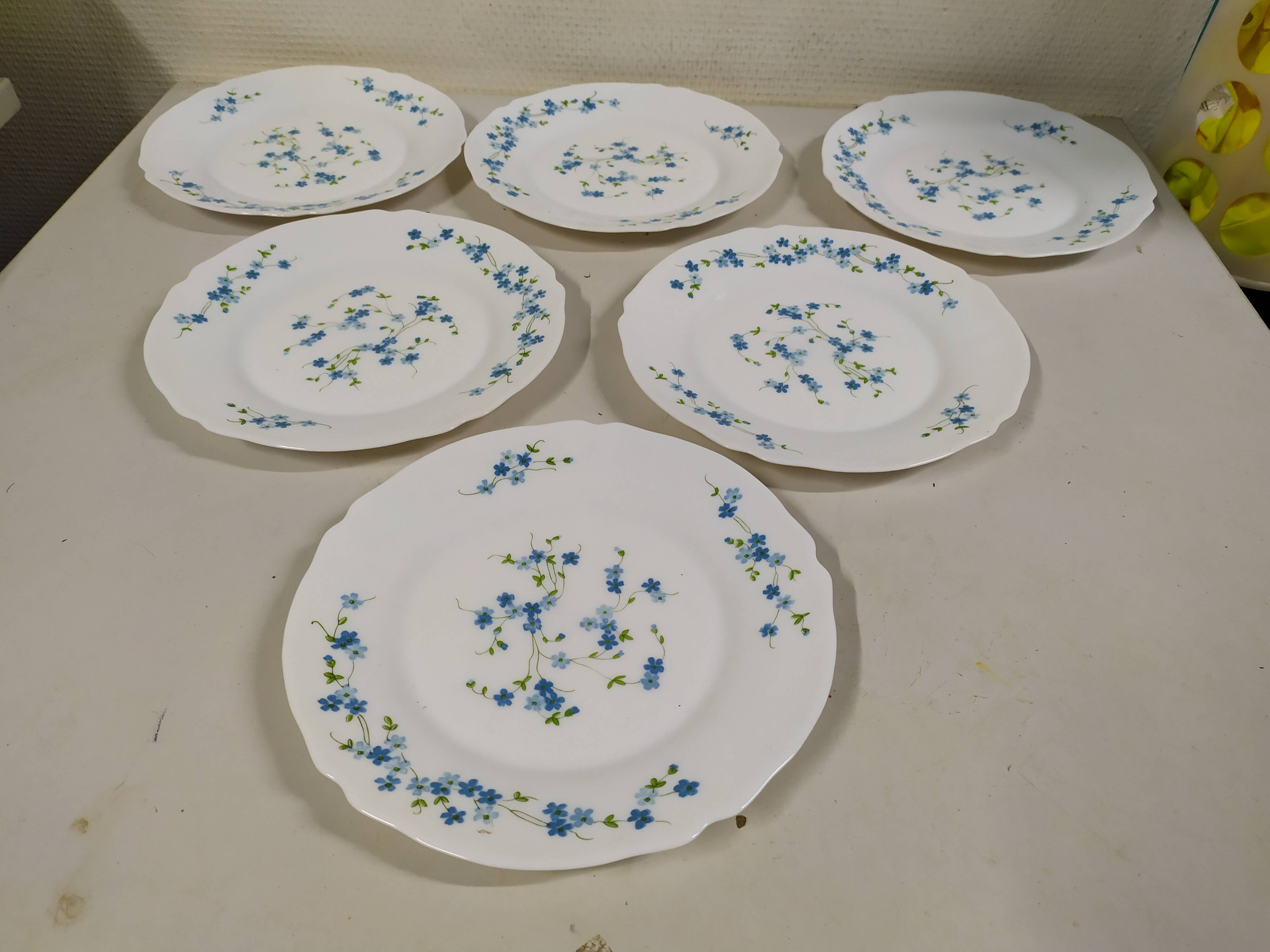 Lot de 6 assiettes plate Arcopal Véronica Myosotis fleur bleu vintage