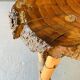 Table basse brutaliste bois et rotin