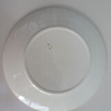 Old plates flat blue décor