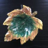 Empty autumn leaf pocket