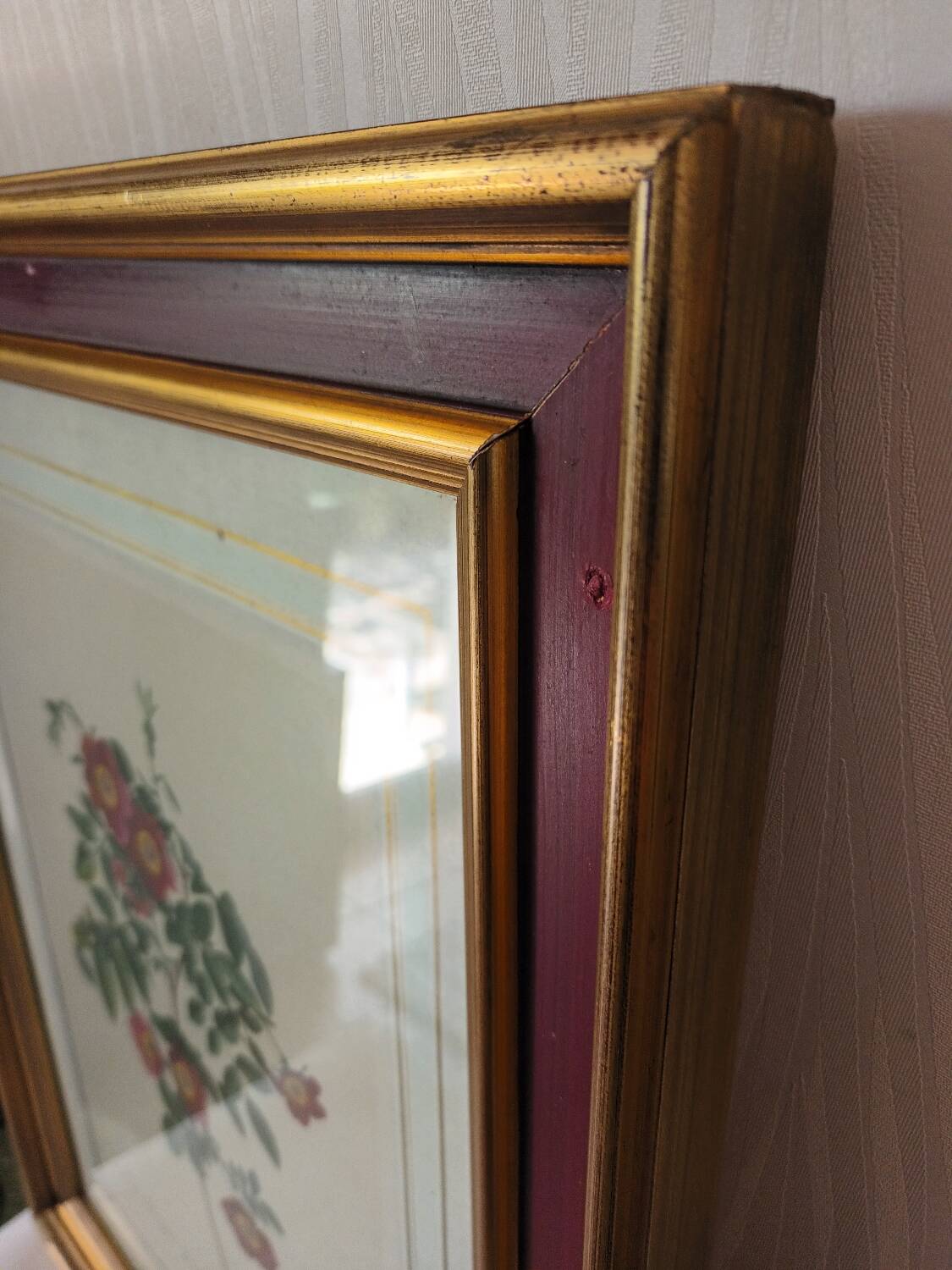 Vintage framed botanical poster