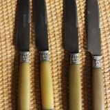 Lot 6 knives Ferrules flower shell blade bakelite steel