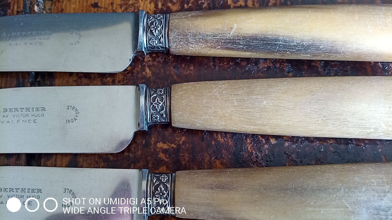 10 horn handle knives including 4 Berthier Valence - 5 logo with the crown 202