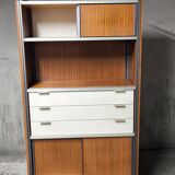 Vintage EFA bookcase and shelves by Georges Frydman