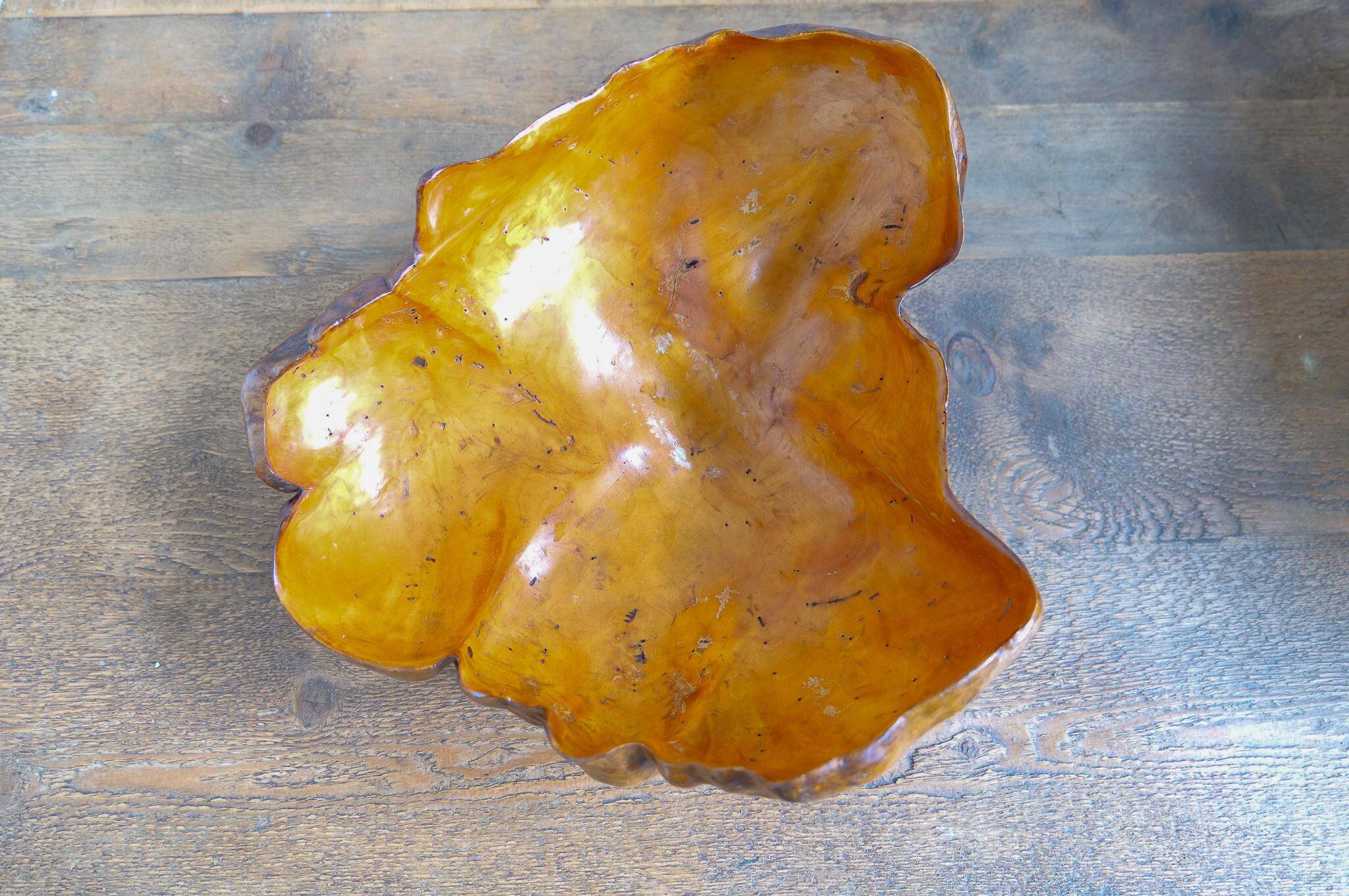 Swedish popular art Very large bowl in dark and curly birch, 1960s