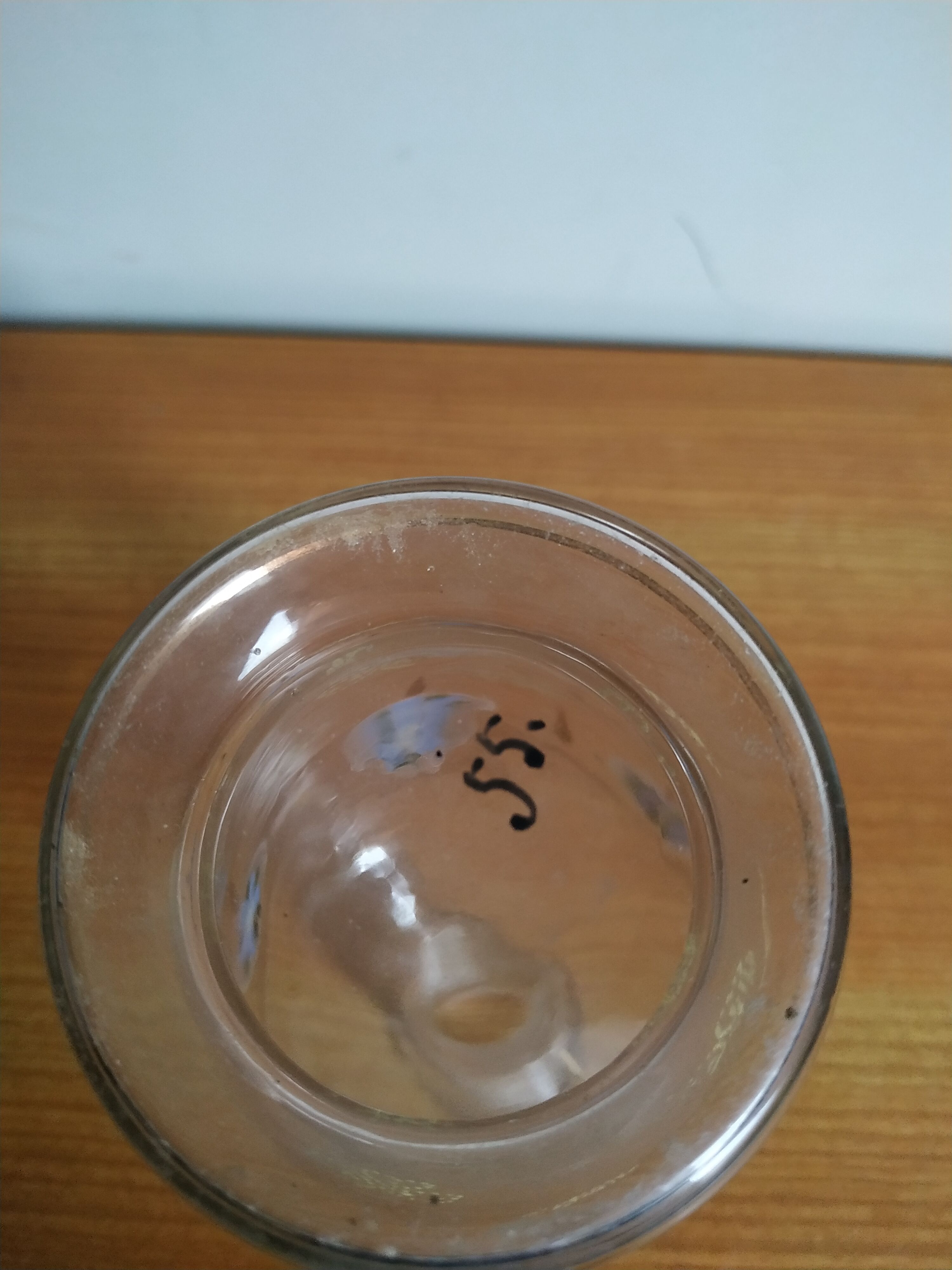 Enamelled glass carafe