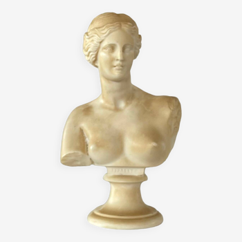 Bust of Aphrodite in cast resin