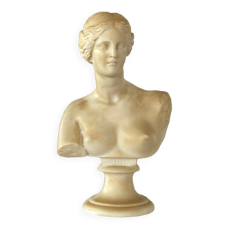 Buste d’Aphrodite en résine moulée