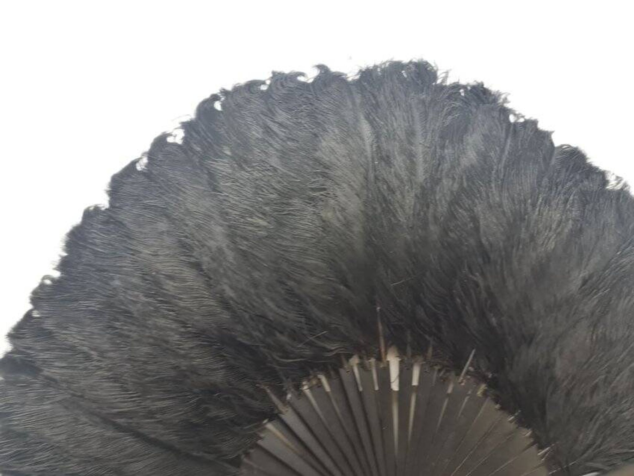 Art Deco Polish Austria feather fan, 1920s