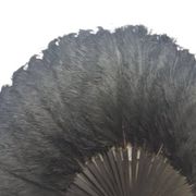 Art Deco Polish Austria feather fan, 1920s