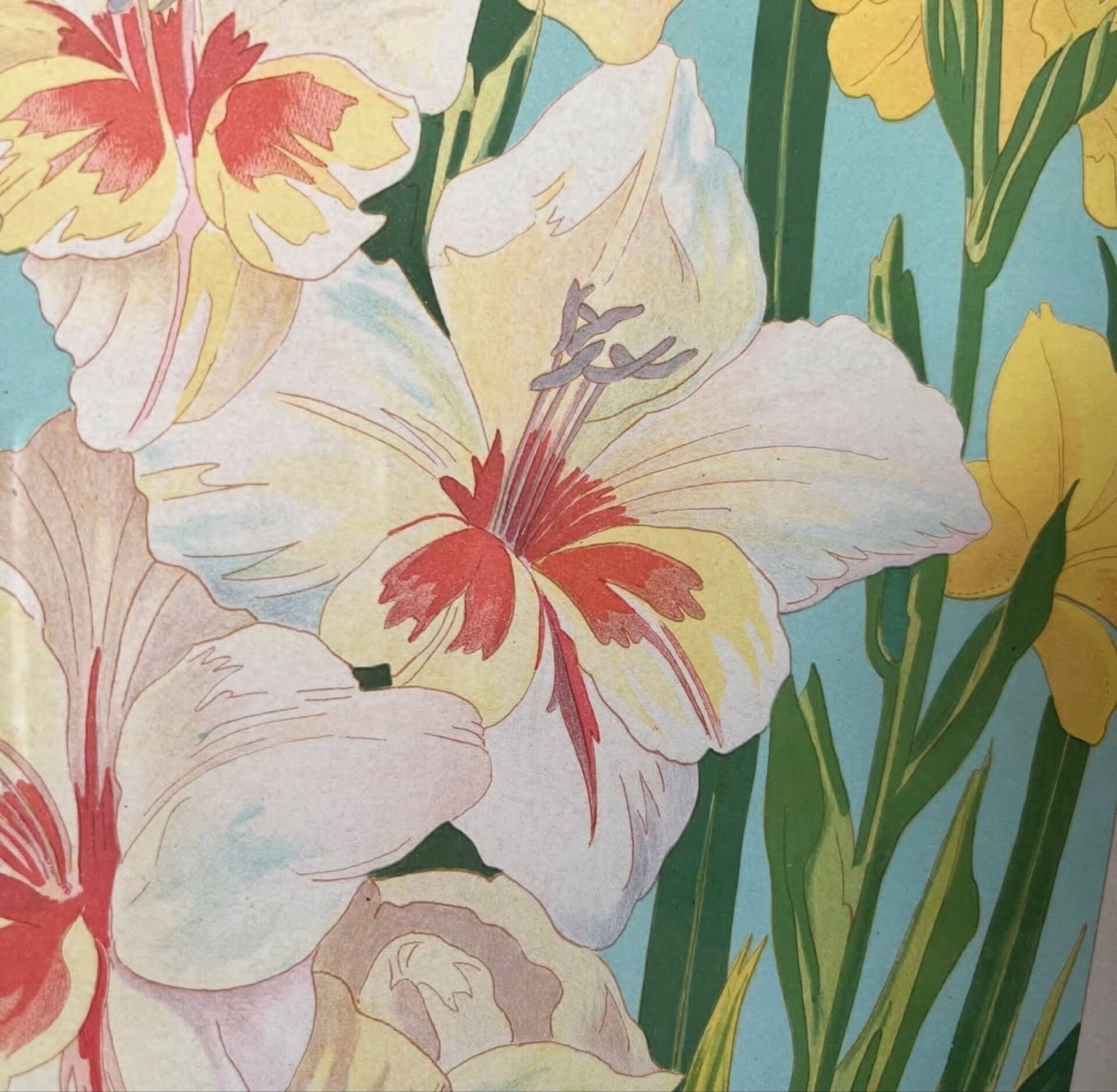 4 floral lithographs 1900
