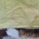 Mexican goatskin rug
