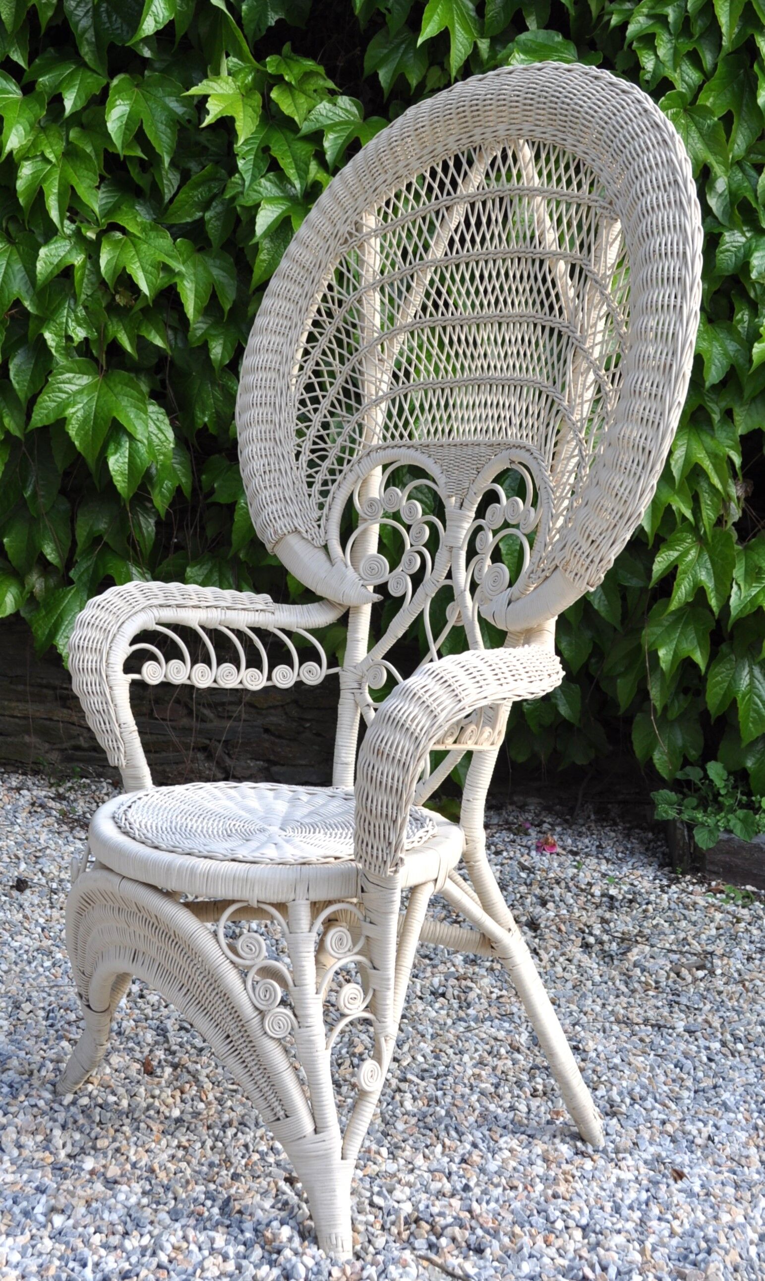 Peacock emmanuelle rattan armchair