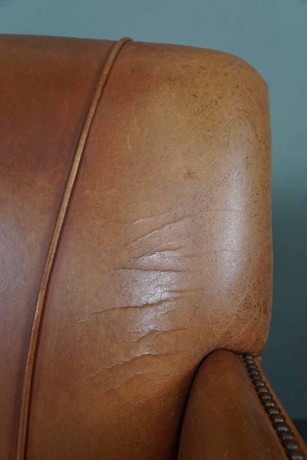 Set of 2 cowhide leather armchairs