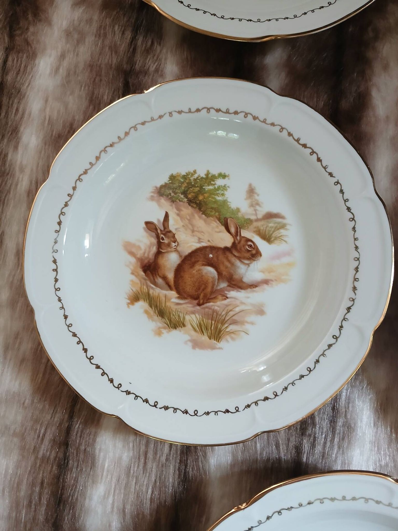 5 antique deep plates in porcelain