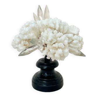 Antique natural white coral and crystal on wooden base Napoleon III 19th century cabinet of curiosities