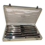 Coffret de 12 couteaux de table inox