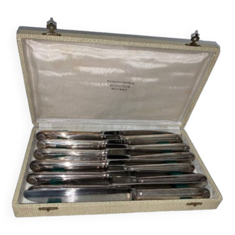 Coffret de 12 couteaux de table inox