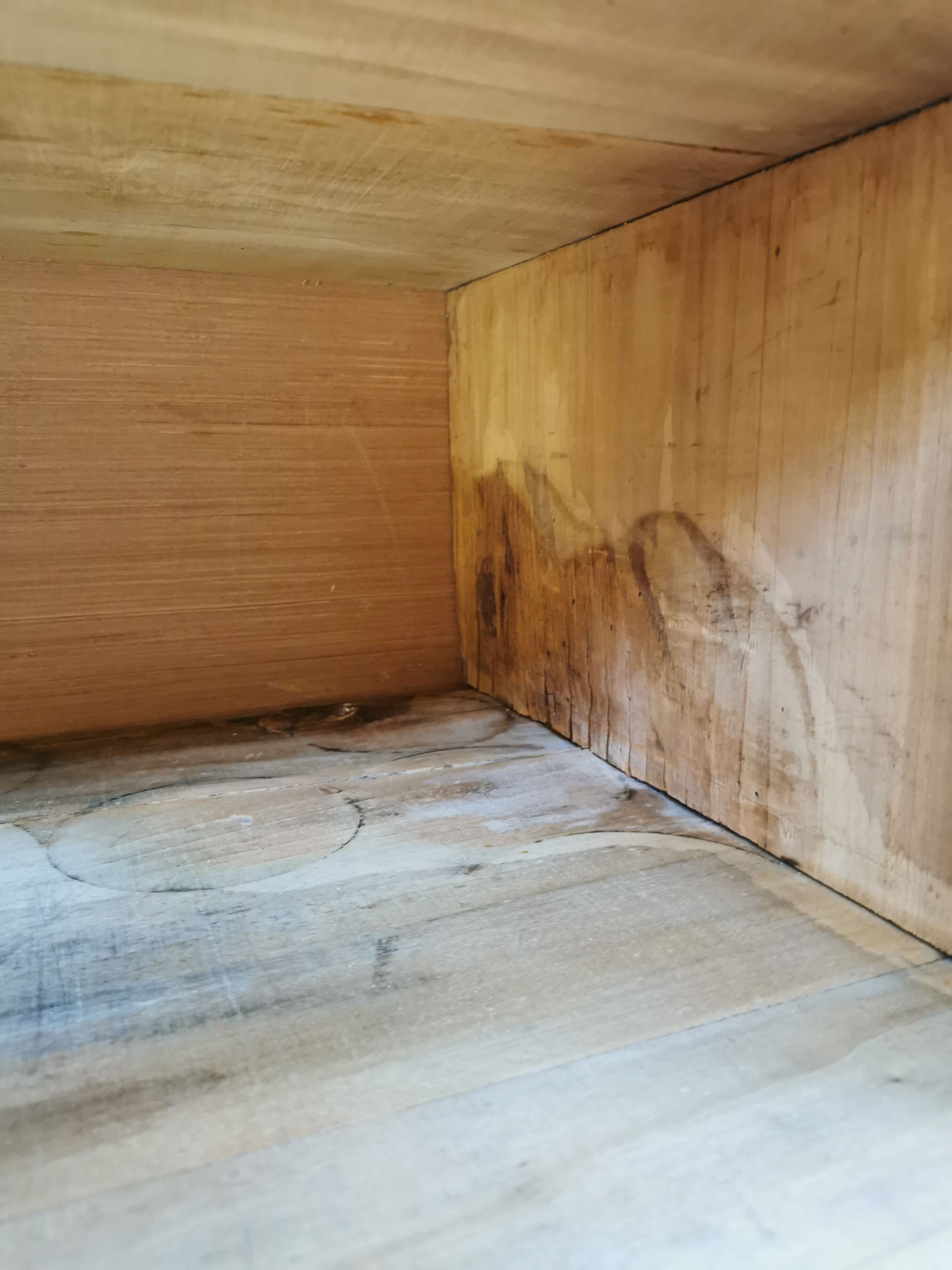 Architect's furniture