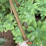 Vintage magazine rack