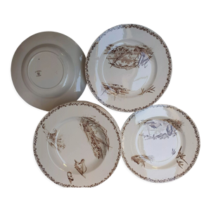 Assiettes creuses terre