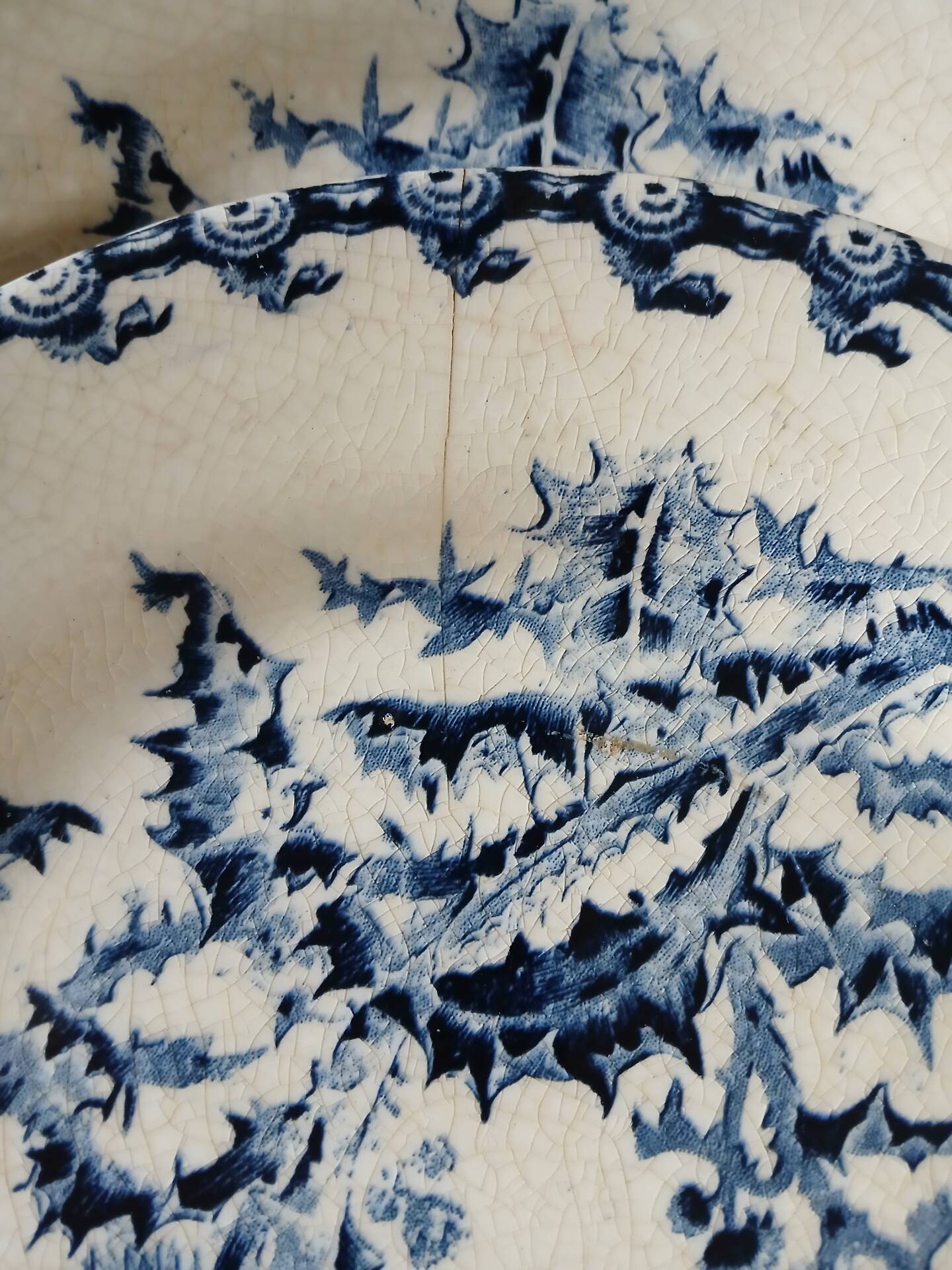 14 dinner plates + 2 "Chardons" dishes from Gien