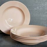 Six assiettes faïence pastel de digoin et sarreguemines anciennes