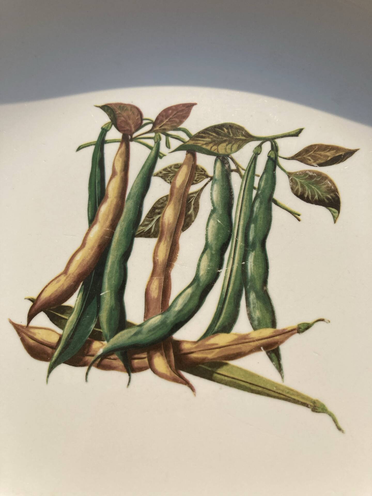 Fireproof porcelain serving dish Gien France botanical pattern