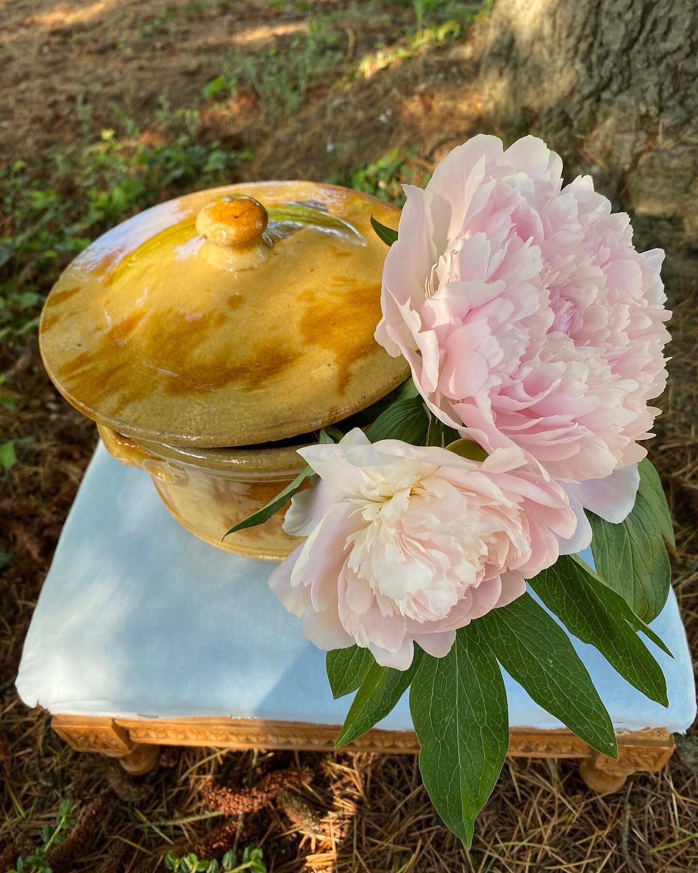 Old glazed terracotta vegetable