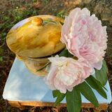 Old glazed terracotta vegetable