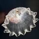 Elbow wall lamp with vintage holophane glass shade