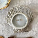 Porcelain seashell salt and pepper shakers in their case